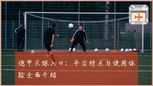 德甲买球入口：平台特点与使用体验全面介绍
