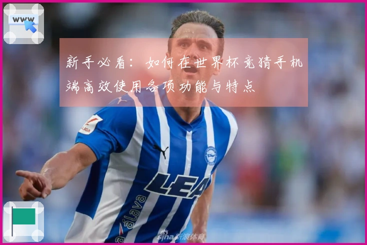 新手必看：如何在世界杯竞猜手机端高效使用各项功能与特点