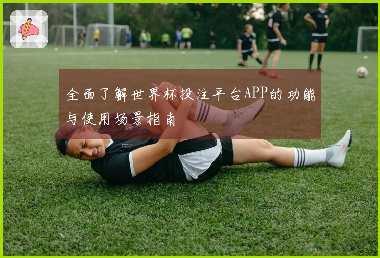 全面了解世界杯投注平台APP的功能与使用场景指南
