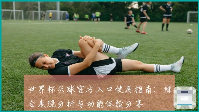 世界杯买球官方入口使用指南：综合表现分析与功能体验分享