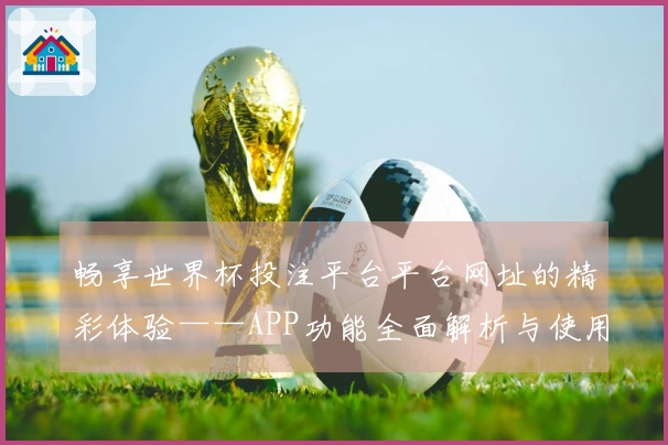 畅享世界杯投注平台平台网址的精彩体验——APP功能全面解析与使用指南
