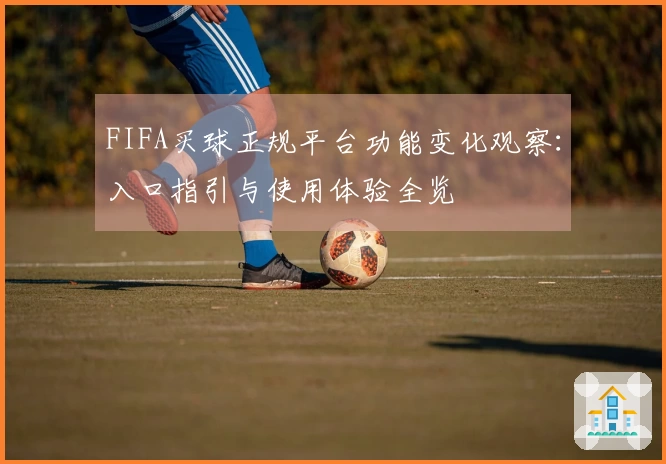 FIFA买球正规平台功能变化观察：入口指引与使用体验全览
