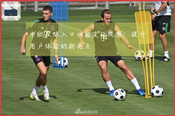 中欧买球入口功能变化观察：提升用户体验的新亮点
