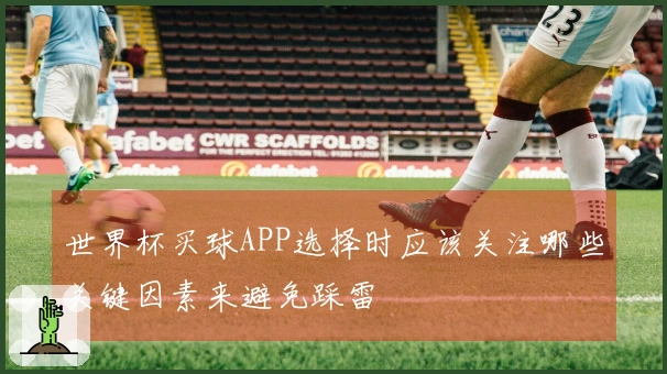 世界杯买球APP选择时应该关注哪些关键因素来避免踩雷