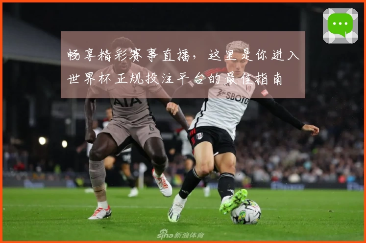 畅享精彩赛事直播，这里是你进入世界杯正规投注平台的最佳指南