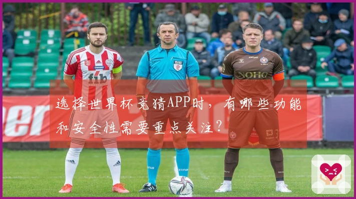 选择世界杯竞猜APP时，有哪些功能和安全性需要重点关注？