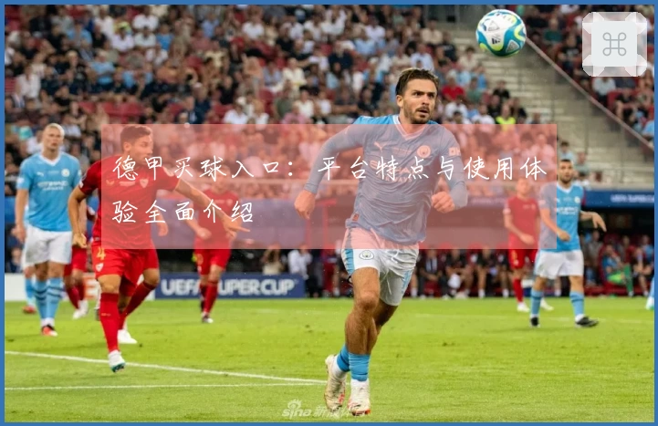 德甲买球入口：平台特点与使用体验全面介绍