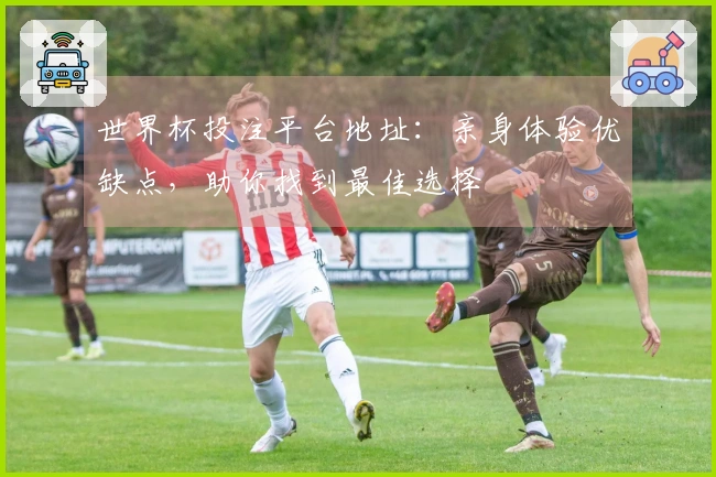世界杯投注平台地址：亲身体验优缺点，助你找到最佳选择