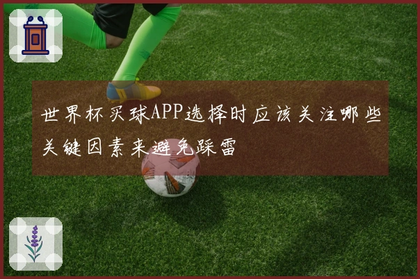 世界杯买球APP选择时应该关注哪些关键因素来避免踩雷